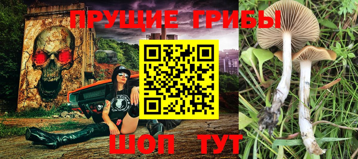 Тамбов  Псилоцибиновые грибы мухоморы  Вход с VPN 