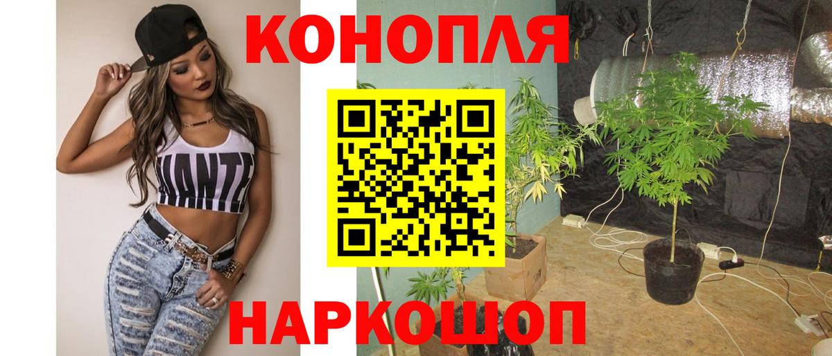 Марихуана OG Kush Тамбов